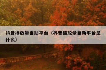 抖音播放量自助平台（抖音播放量自助平台是什么）
