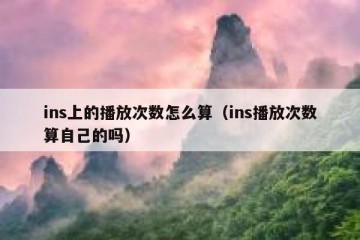 ins上的播放次数怎么算（ins播放次数算自己的吗）