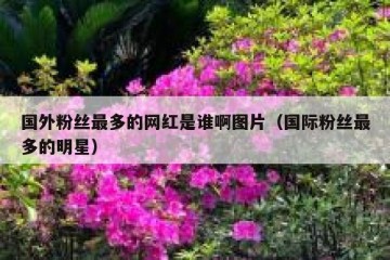 国外粉丝最多的网红是谁啊图片（国际粉丝最多的明星）