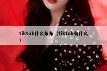 tiktok什么东东（tiktok有什么）