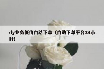 dy业务低价自助下单（自助下单平台24小时）