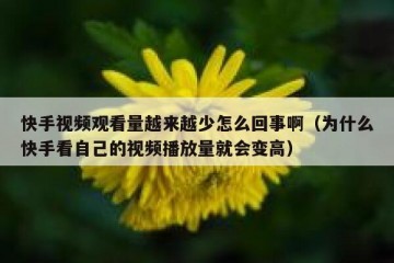 快手视频观看量越来越少怎么回事啊（为什么快手看自己的视频播放量就会变高）