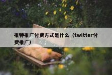 推特推广付费方式是什么（twitter付费推广）
