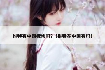 推特有中国板块吗?（推特在中国有吗）