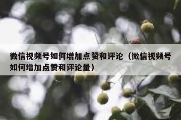 微信视频号如何增加点赞和评论（微信视频号如何增加点赞和评论量）