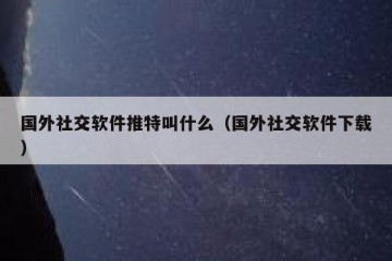 国外社交软件推特叫什么（国外社交软件下载）