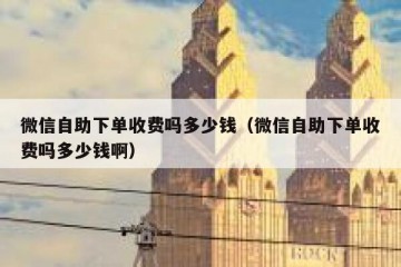 微信自助下单收费吗多少钱（微信自助下单收费吗多少钱啊）