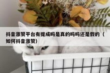抖音涨赞平台有提成吗是真的吗吗还是假的（如何抖音涨赞）