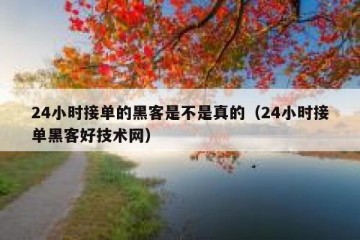 24小时接单的黑客是不是真的（24小时接单黑客好技术网）