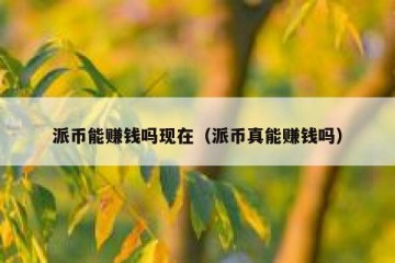 派币能赚钱吗现在（派币真能赚钱吗）