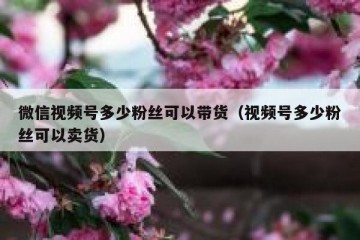 微信视频号多少粉丝可以带货（视频号多少粉丝可以卖货）