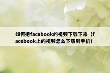 如何把facebook的视频下载下来（facebook上的视频怎么下载到手机）