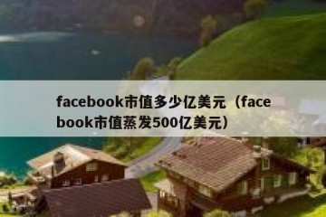 facebook市值多少亿美元（facebook市值蒸发500亿美元）