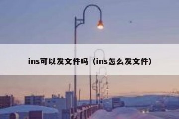 ins可以发文件吗（ins怎么发文件）