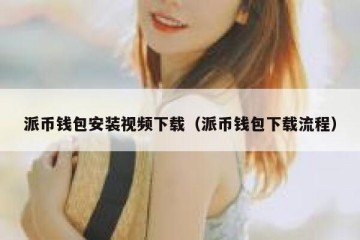 派币钱包安装视频下载（派币钱包下载流程）