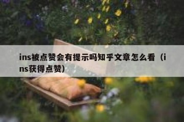 ins被点赞会有提示吗知乎文章怎么看（ins获得点赞）