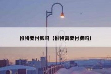 推特要付钱吗（推特需要付费吗）