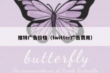 推特广告价格（twitter广告费用）