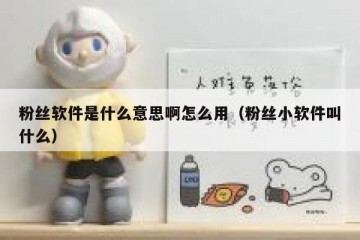 粉丝软件是什么意思啊怎么用（粉丝小软件叫什么）