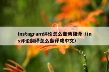 Instagram评论怎么自动翻译（ins评论翻译怎么翻译成中文）