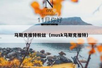 马斯克推特粉丝（musk马斯克推特）