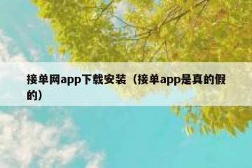 接单网app下载安装（接单app是真的假的）