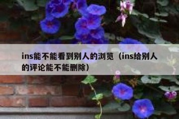 ins能不能看到别人的浏览（ins给别人的评论能不能删除）