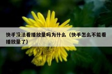 快手没法看播放量吗为什么（快手怎么不能看播放量了）