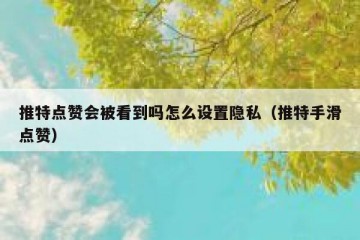 推特点赞会被看到吗怎么设置隐私（推特手滑点赞）