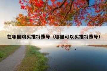 在哪里购买推特账号（哪里可以买推特账号）