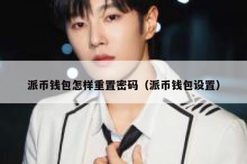 派币钱包怎样重置密码（派币钱包设置）