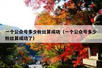 一个公众号多少粉丝算成功（一个公众号多少粉丝算成功了）