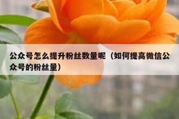 公众号怎么提升粉丝数量呢（如何提高微信公众号的粉丝量）