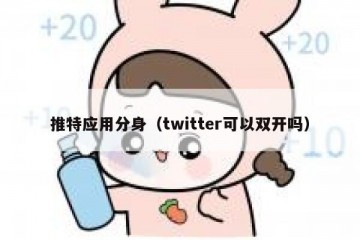 推特应用分身（twitter可以双开吗）