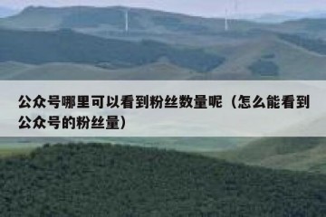 公众号哪里可以看到粉丝数量呢（怎么能看到公众号的粉丝量）