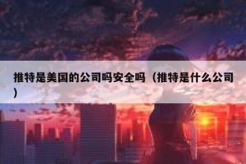 推特是美国的公司吗安全吗（推特是什么公司）