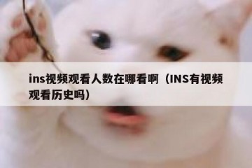 ins视频观看人数在哪看啊（INS有视频观看历史吗）