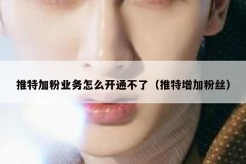 推特加粉业务怎么开通不了（推特增加粉丝）
