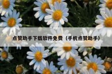点赞助手下载软件免费（手机点赞助手）