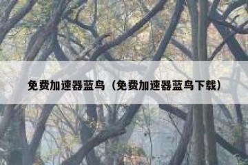 免费加速器蓝鸟（免费加速器蓝鸟下载）