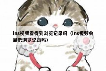ins视频看得到浏览记录吗（ins视频会显示浏览记录吗）