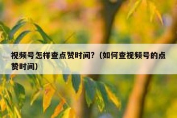 视频号怎样查点赞时间?（如何查视频号的点赞时间）