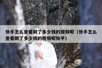 快手怎么查看刷了多少钱的视频呢（快手怎么查看刷了多少钱的视频呢知乎）