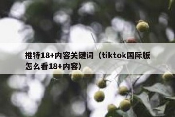 推特18+内容关键词（tiktok国际版怎么看18+内容）