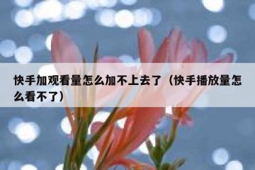 快手加观看量怎么加不上去了（快手播放量怎么看不了）