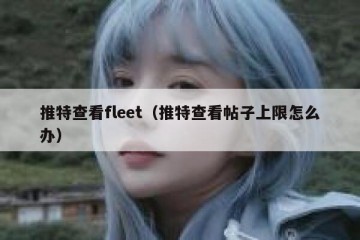 推特查看fleet（推特查看帖子上限怎么办）