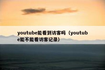 youtube能看到访客吗（youtube能不能看访客记录）