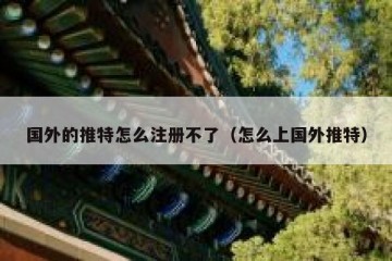 国外的推特怎么注册不了（怎么上国外推特）