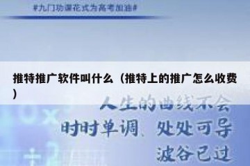 推特推广软件叫什么（推特上的推广怎么收费）
