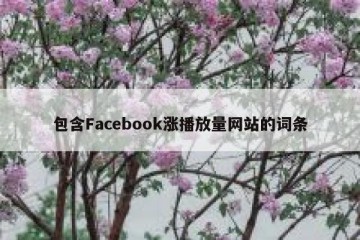 包含Facebook涨播放量网站的词条